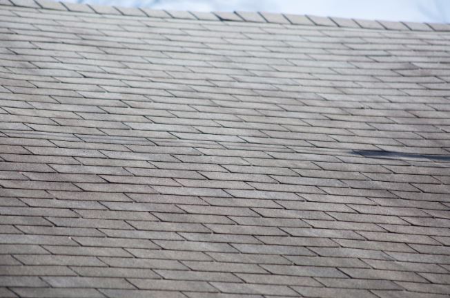 Signs You Have Roof Damage